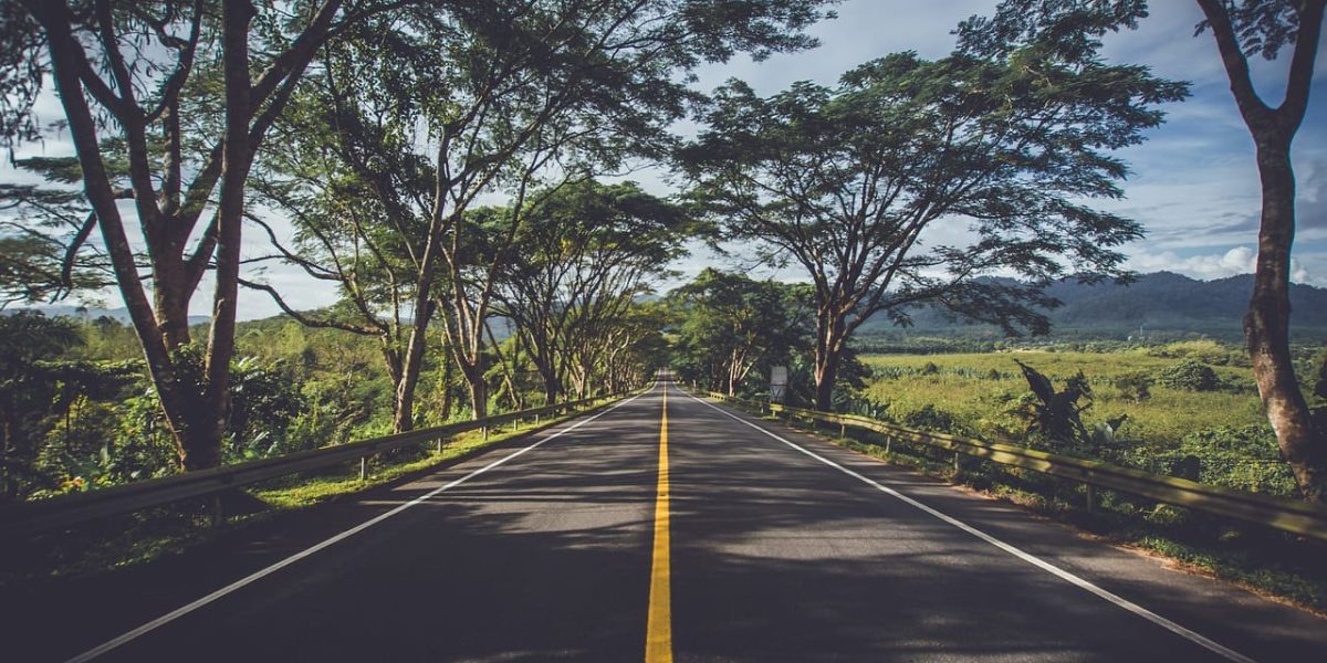 asphalt, street, trees, avenue, tree lined, road, highway, landscape, roadway, rural, scenic, travel, woods, countryside, straight, street, nature, street, street, street, street, road, road, highway, highway